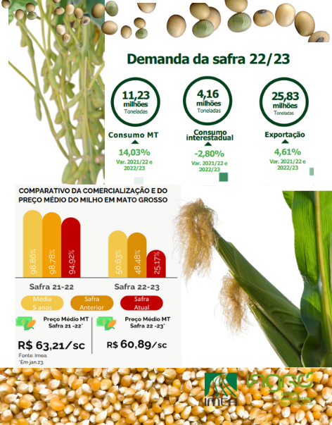 IAGRO/IMEA